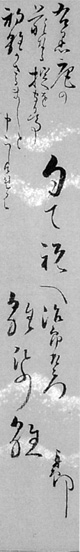 50．里見左白宛孤山堂卓郎短冊　　　鈴木孝雄氏蔵