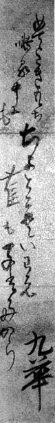 54.杉長短冊 座間恒氏蔵