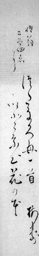 48.梅寿短冊 山口国男氏蔵