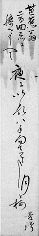 48.菱湾短冊 山口国男氏蔵