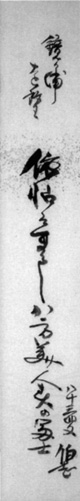 48.伯志短冊 山口国男氏蔵