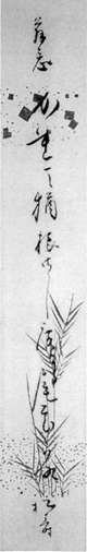 46．松寿短冊　　　安西明生氏蔵
