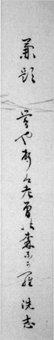 46．洗志短冊　　　安西明生氏蔵
