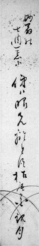 48．観月短冊　　　山口国男氏蔵