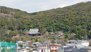 那古山自然林 館山市指定天然記念物