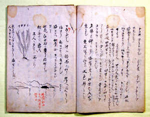 55．房総採薬日記（文政11年）　　　 当館蔵