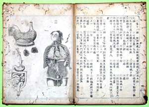 64．『医範提綱内象銅版図』（文化5年）　　 当館蔵