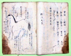 68.急用馬之薬方(『海国兵談』抜書) 菊井義朝氏蔵