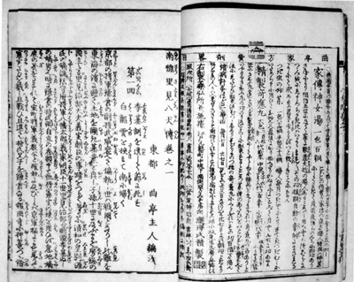 冒頭部分 『南総里見八犬伝』肇輯巻之一 第一回