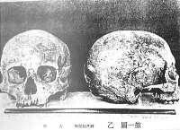 佐野洞窟遺跡出土人骨<br> 千葉県『史跡名勝天然記念物調査』4　1927より転載