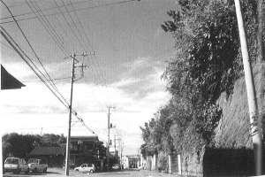 遺跡の現状<br> 道路左の削平地に洞窟がありました。