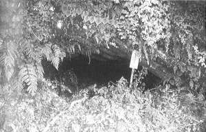出野尾洞窟遺跡