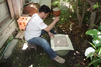 砧打ち