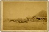 28.館山海岸に集まった大八車</br> 明治時代末か　当館蔵