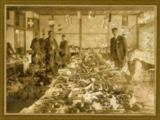 46.農産物品評会場(地方改良資料)</br> 大正時代頃 当館蔵