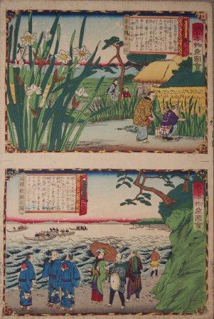 35.三代歌川広重画「大日本物産図会 安房国水仙花・同さんま網之図」</br> 明治10年(1877年) 当館蔵