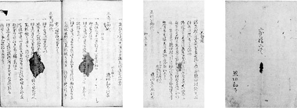36.家譜正書