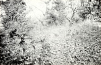 稲原貝塚(小原地区)