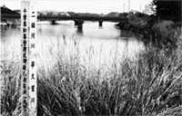 平久里川