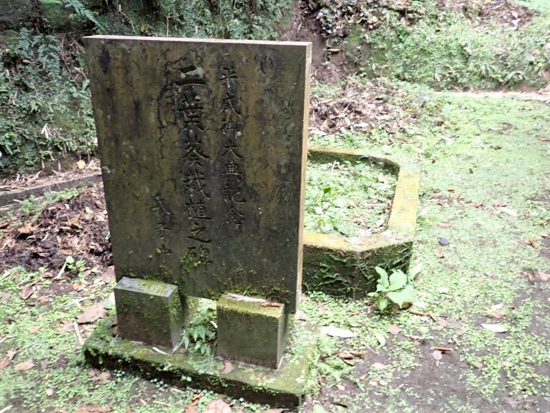 （14）二葉葵の植栽場と平成御大典記念碑