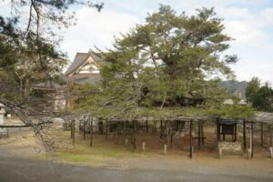 （18）小松原山鏡忍寺