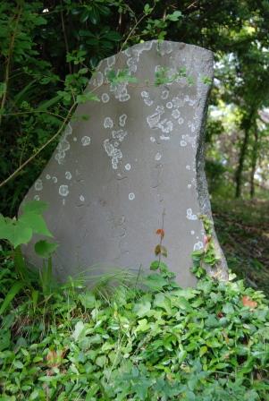(2)いさゝらは雪見に転ふところまで 鋸南町大崩(おくずれ) 西根路傍(にしねろぼう)