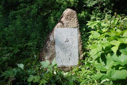 (6)人も見ぬ春や鏡のうらの梅 館山市亀ヶ原808 新御堂跡(にいみどうあと)