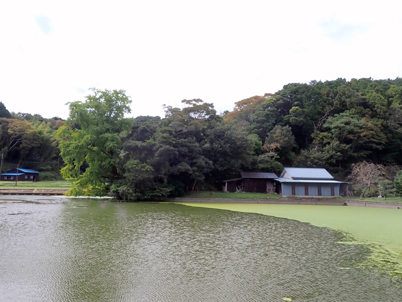 (12)安東堰