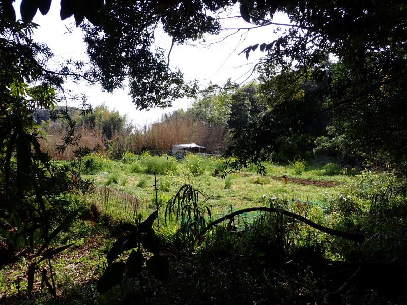 (14)山名学校跡